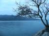 lantauislandmuiwo261220085_small.jpg