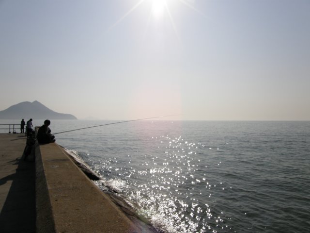 taio17012009112.jpg