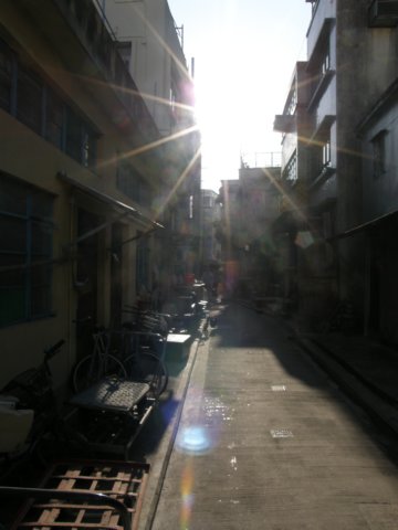 taio17012009150.jpg
