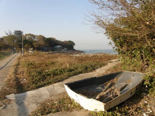 taio17012009166.jpg