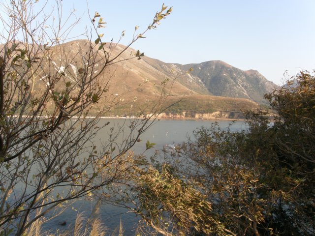 taio17012009173.jpg