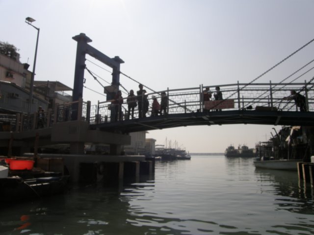 taio1701200955.jpg
