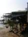 taio1701200990_small.jpg