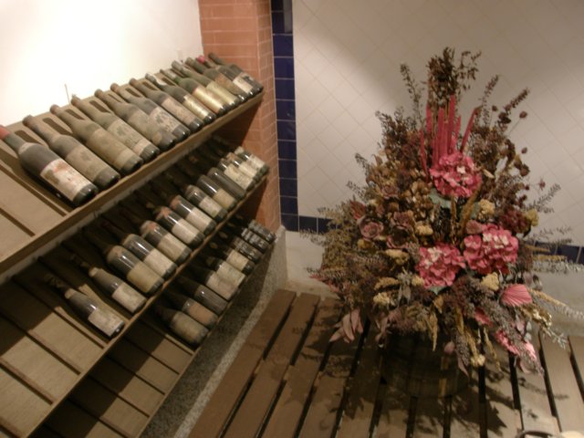 macao28122008123.jpg