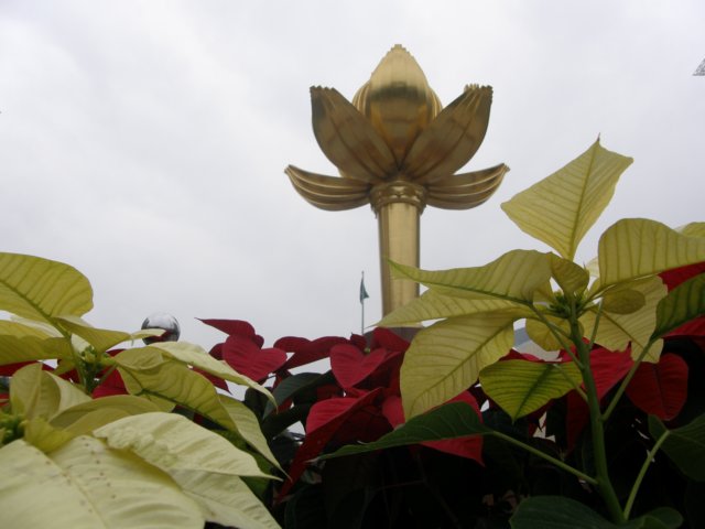 macao28122008128.jpg
