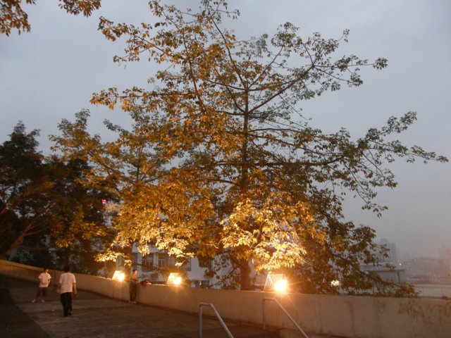 macao28122008162.jpg