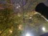 macao28122008189_small.jpg