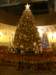 macao28122008206_small.jpg