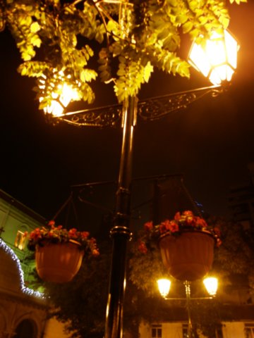 macao28122008241.jpg