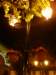 macao28122008241_small.jpg