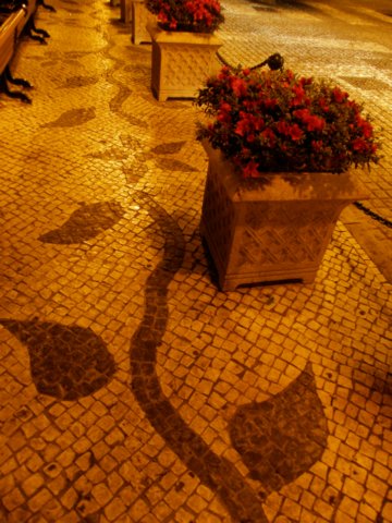 macao28122008242.jpg