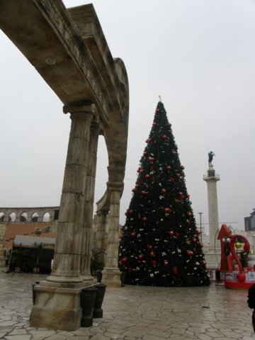 macao2812200832.jpg