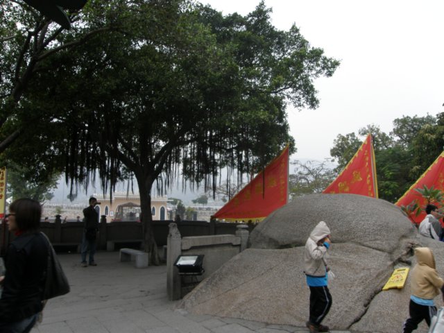 macao2812200844.jpg