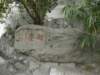 macao2812200857_small.jpg