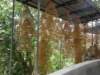 macao2812200859_small.jpg