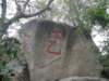 macao2812200864_small.jpg