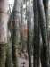 macao2812200865_small.jpg