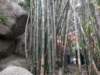 macao2812200866_small.jpg