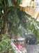 macao2812200872_small.jpg