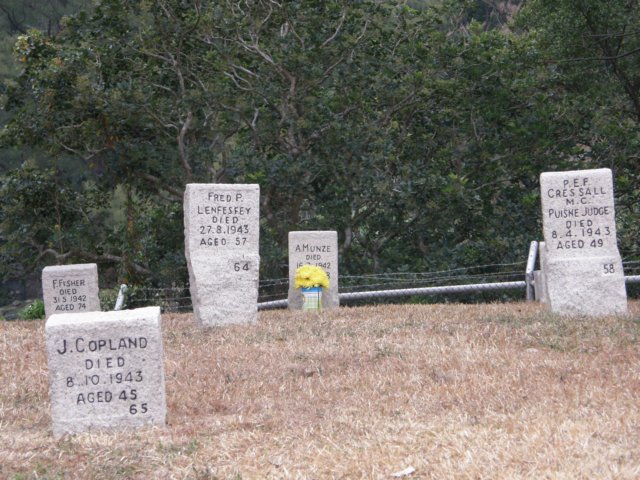 stanley27122008113.jpg