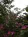 stanley2712200817_small.jpg