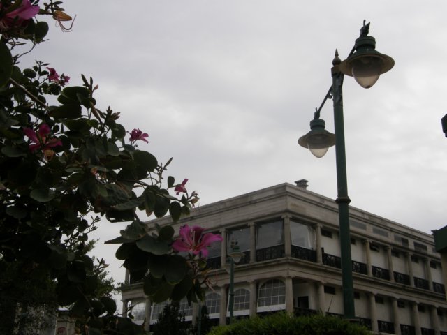 stanley2712200825.jpg