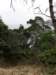 stanley2712200878_small.jpg