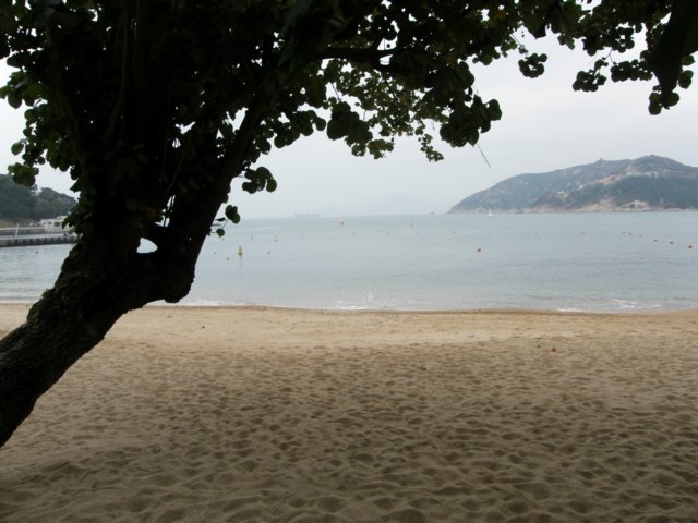 stanley2712200880.jpg