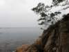 stanley2712200888_small.jpg