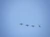 hualien101101200952_small.jpg