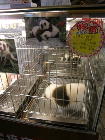 hualien11120120097.jpg