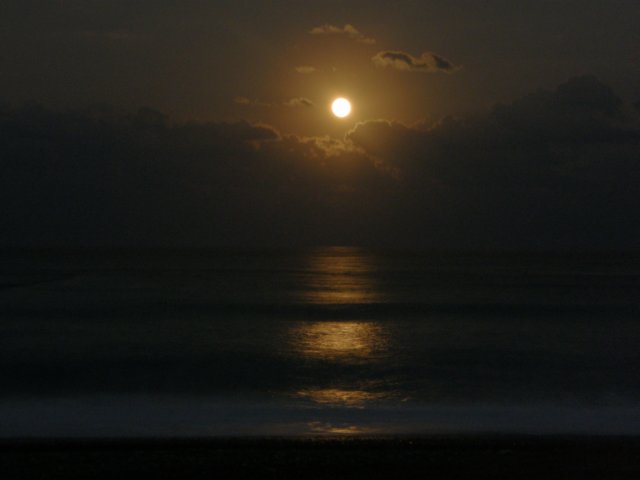 hualienbeachonthepacificocean1101200933.jpg