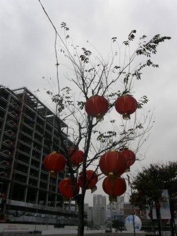 taipei101090120092.jpg