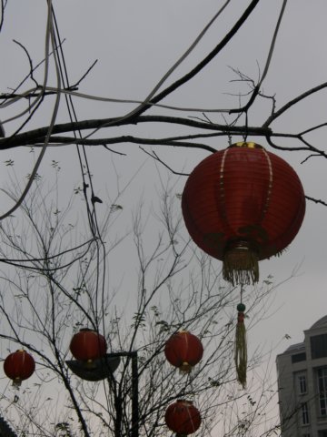 taipei101090120095.jpg
