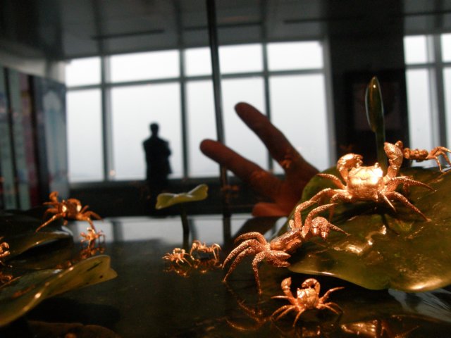 taipei1010901200950.jpg