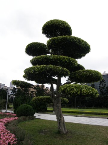 taipeichiangkaishekmemorialhall0701200959.jpg