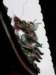 taipeilongshantemple0801200914_small.jpg