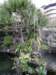 taipeilongshantemple0801200918_small.jpg