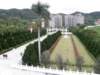 taipeinationalpalacemuseum0701200915_small.jpg