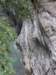 tarokonationalpark11012009119_small.jpg