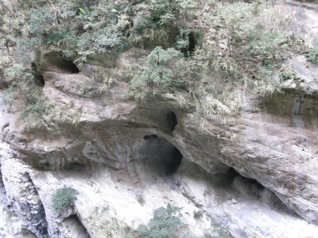 tarokonationalpark11012009120.jpg