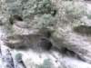tarokonationalpark11012009120_small.jpg