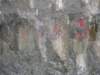 tarokonationalpark11012009128_small.jpg