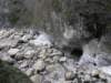 tarokonationalpark11012009133_small.jpg