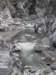 tarokonationalpark11012009140_small.jpg