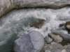tarokonationalpark11012009145_small.jpg