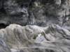 tarokonationalpark11012009159_small.jpg