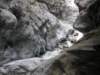 tarokonationalpark11012009160_small.jpg