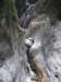 tarokonationalpark11012009168_small.jpg