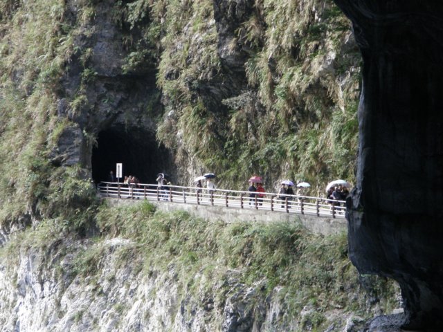 tarokonationalpark11012009180.jpg